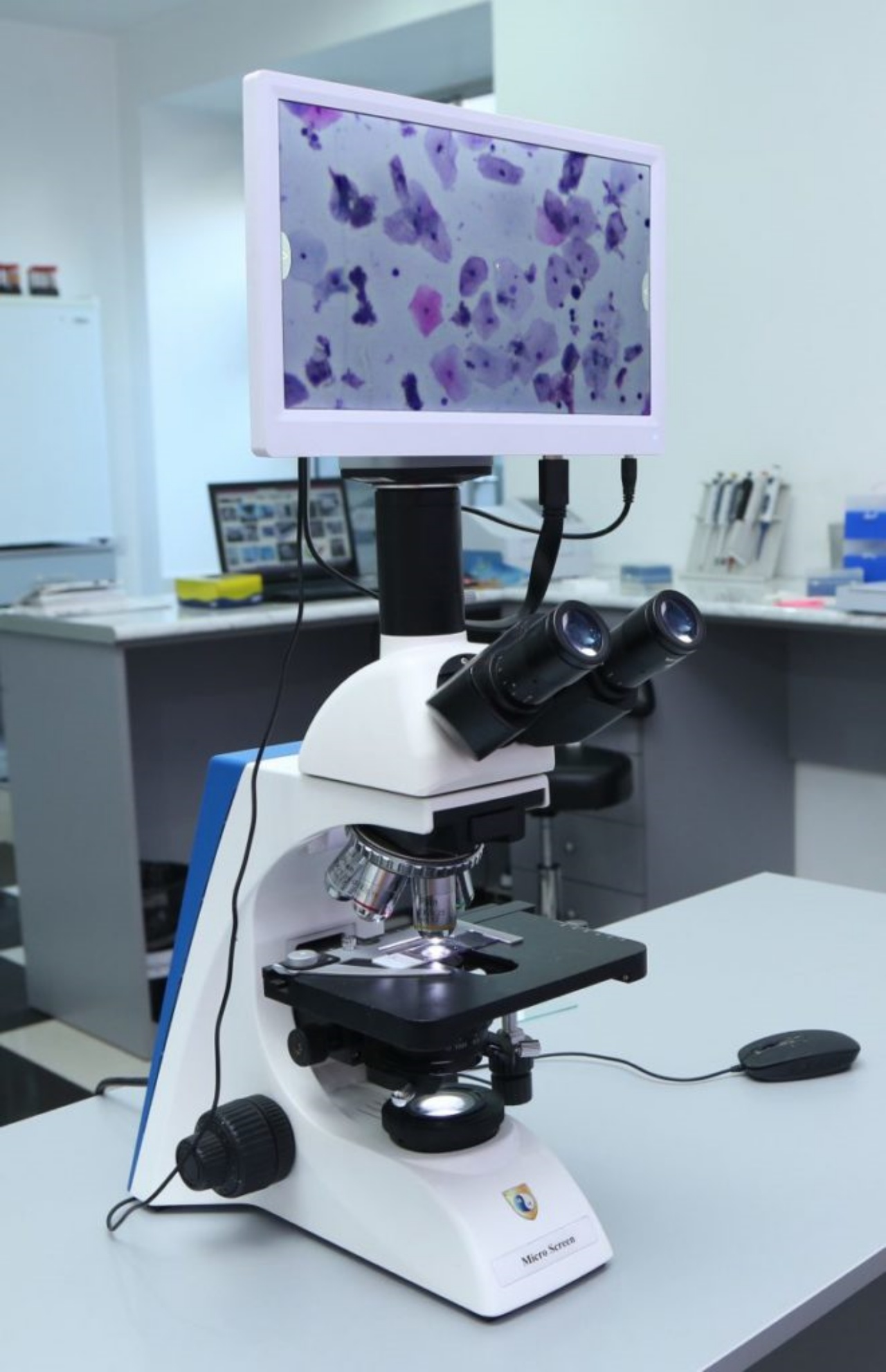 PROMTEST Laboratories